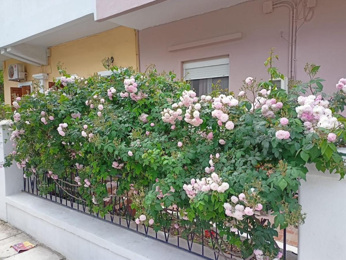 Family House Kos Down Town Apartman Kültér fotó